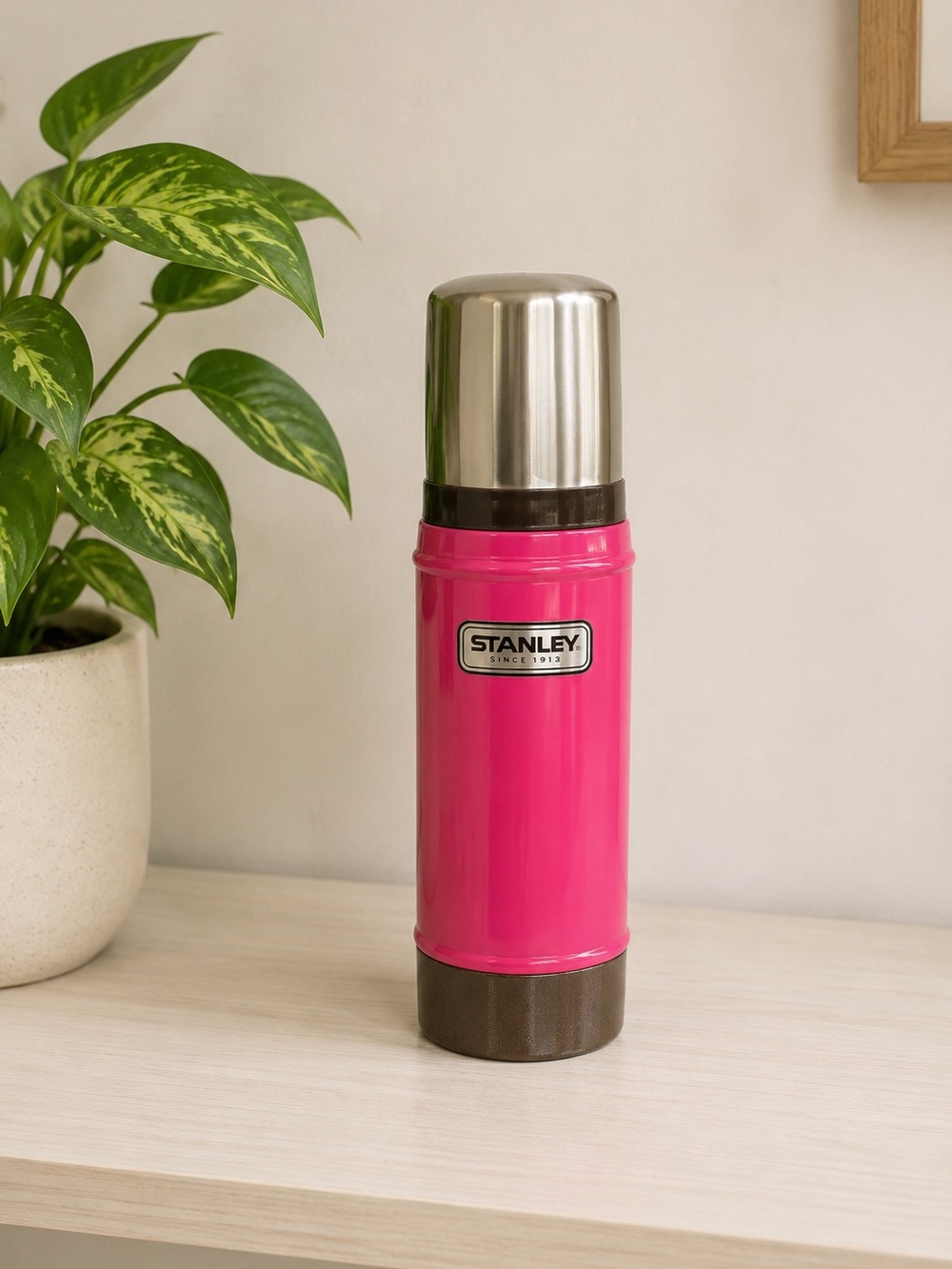 Stanley Hot Pink 16oz‎ Vacuum Bottle Thermos Camping Soup Cup Bright Colorful